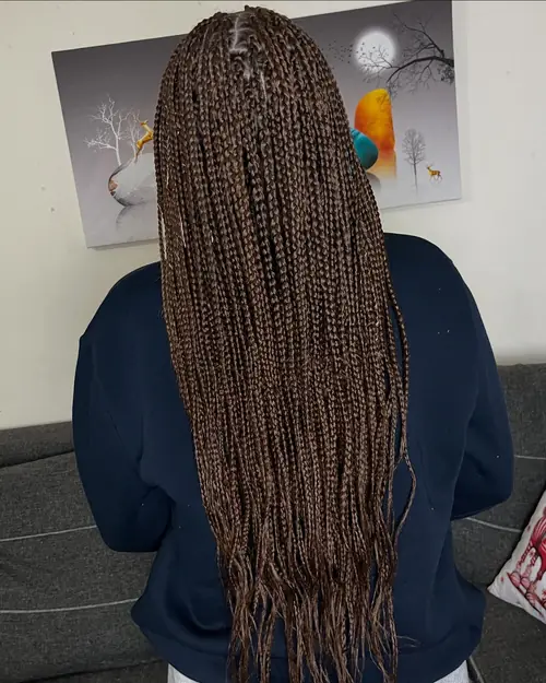 Isparta'da kahverengi, sırt boyu uzun box braids